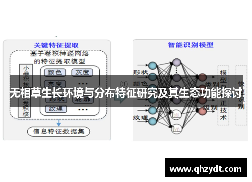 无相草生长环境与分布特征研究及其生态功能探讨 无相草生长环境与分布特征研究及其生态功能探讨